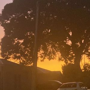 Meet your Posher, Abbie